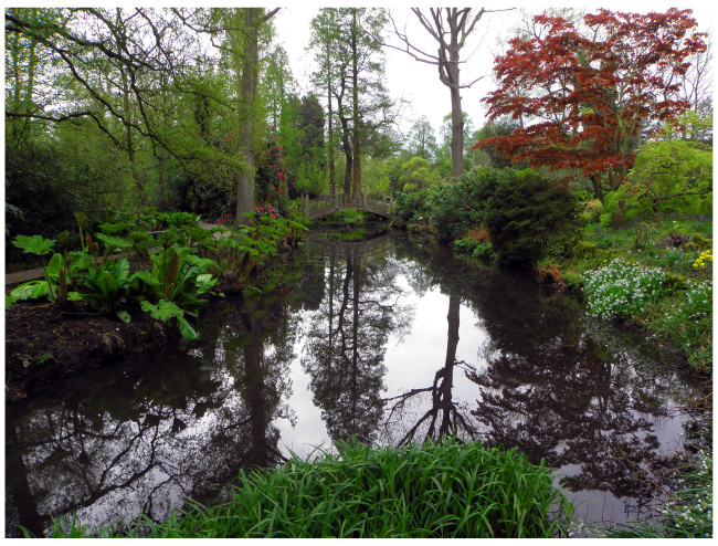 Winterbourne- reflections