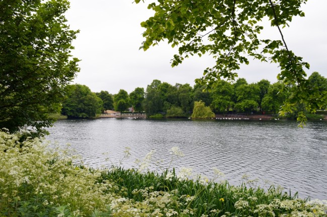Optimized-Brookvale Park Lake 2