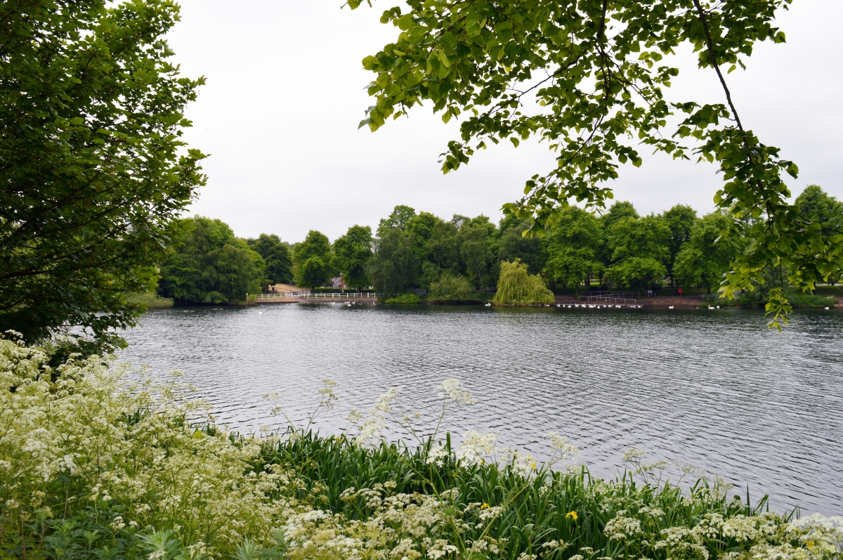 Friday Photo Brookvale Park Lake « Birmingham Conservation Trust